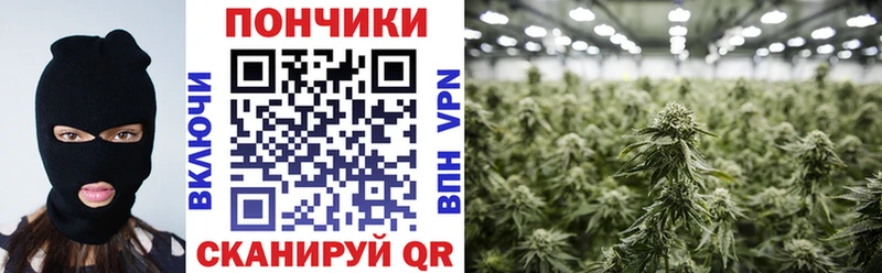 Какие есть наркотики Шумерля ГАШИШ  Амфетамин  ОМГ ОМГ маркетплейс  Псилоцибиновые грибы  Конопля  МЕФ  ГЕРОИН 