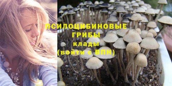 твердый Алексин