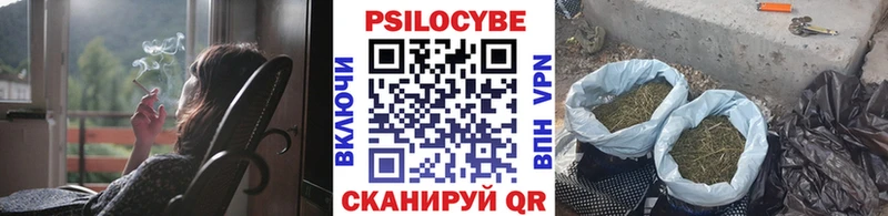 Галлюциногенные грибы ЛСД купить Шумерля